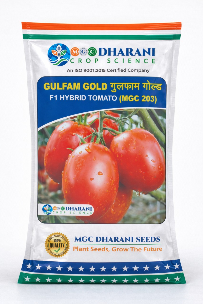 GULFAM GOLD Tomato