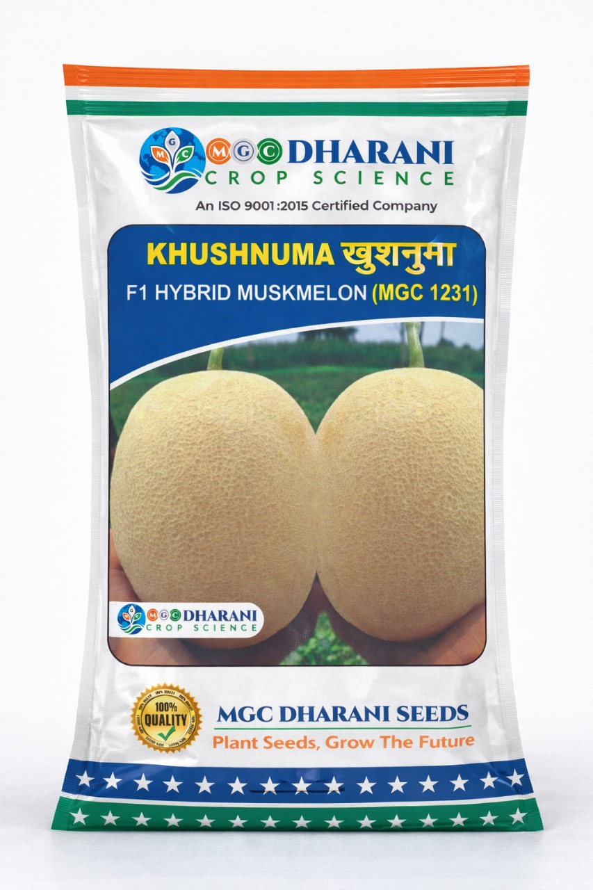 KHUSHNUMA Muskmelon